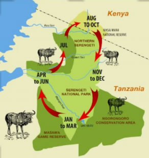 Safari Package Road Map